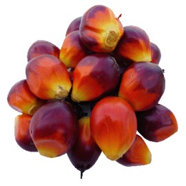 Φοινικέλαιο (palm	oil)